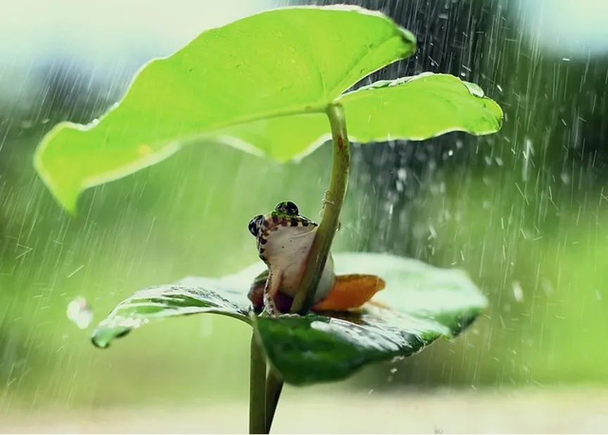 Ce que nous cherchons à créer